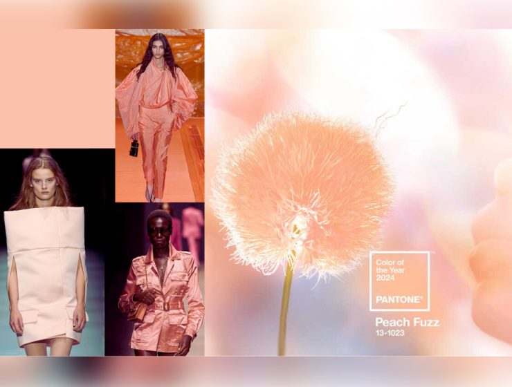 Peach Fuzz: Il Colore del 2024