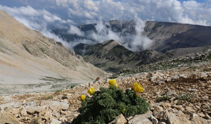 Il riconoscimento UNESCO del Parco Nazionale