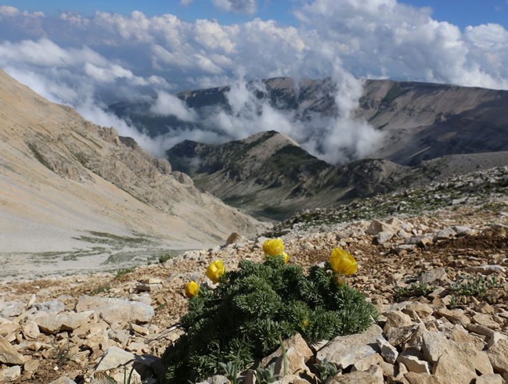 Il riconoscimento UNESCO del Parco Nazionale