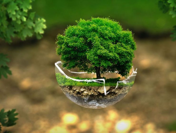 Acli Chieti Impegno Ecologico
