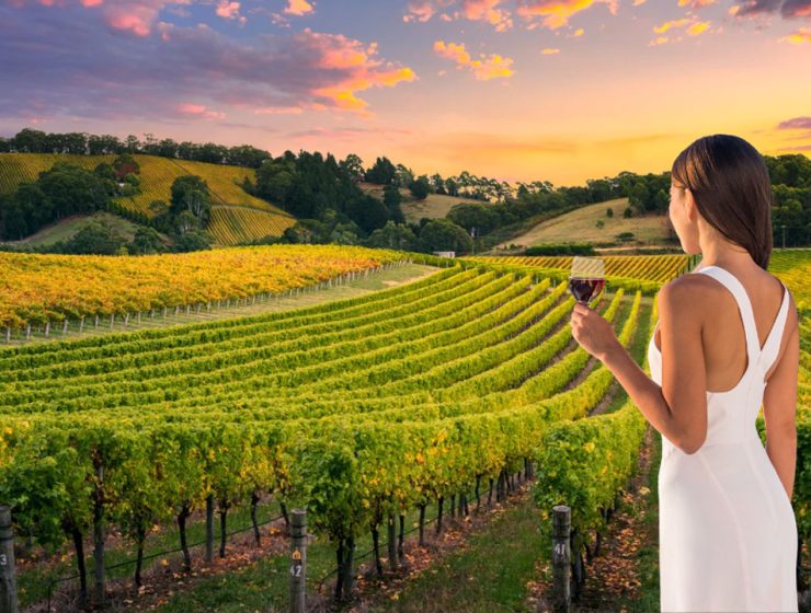 Vinitaly 2024: l'Abruzzo protagonista