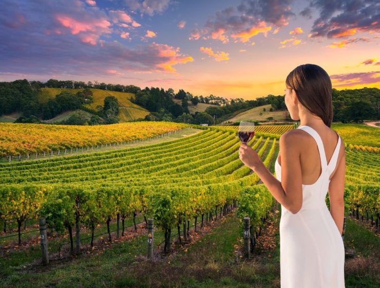 La storia del vino abruzzese