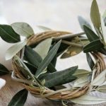 la-domenica-delle-palme