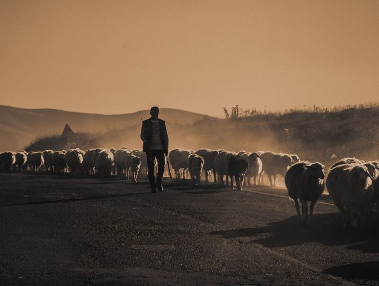 il Cammino della Transumanza