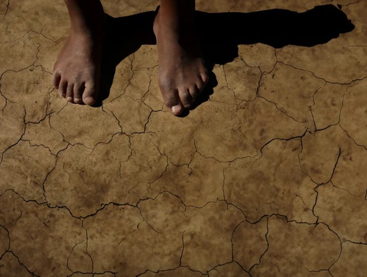 Suoli sani entro il 2050