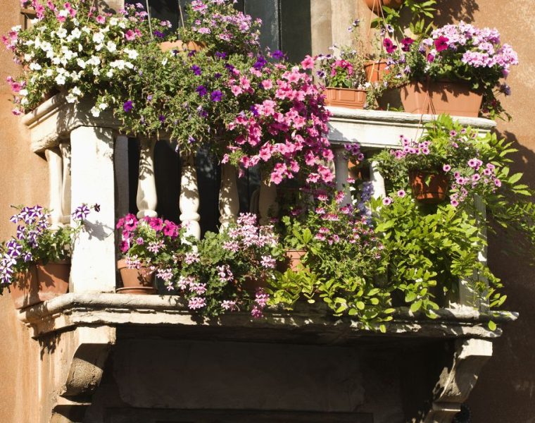 Un balcone fiorito da sogno