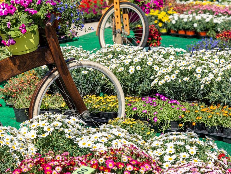 Mostra del Fiore Florviva a Pescara