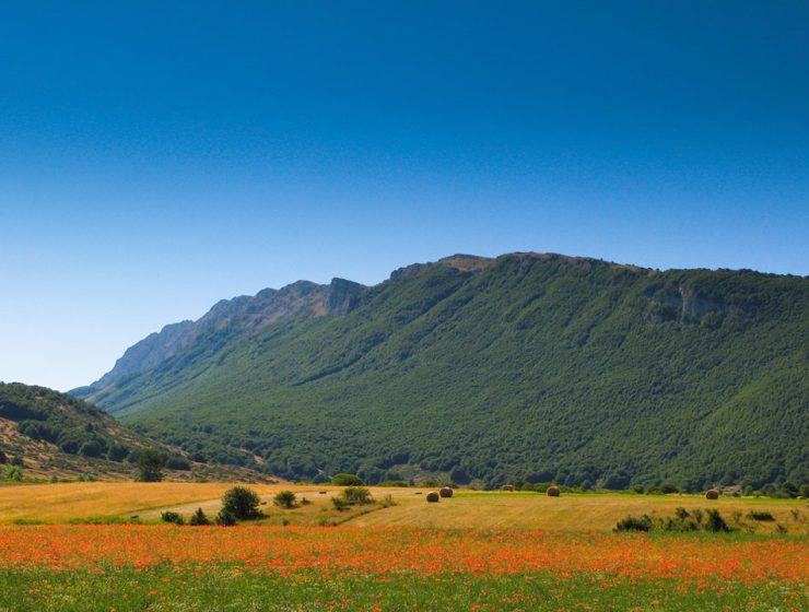 Parco Sirente Velino: Vacanza