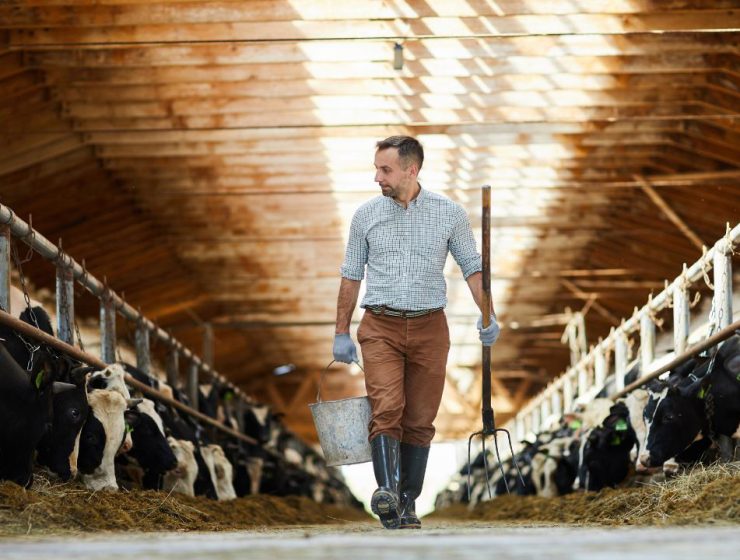 Il Manifesto SMART MEAT 2030