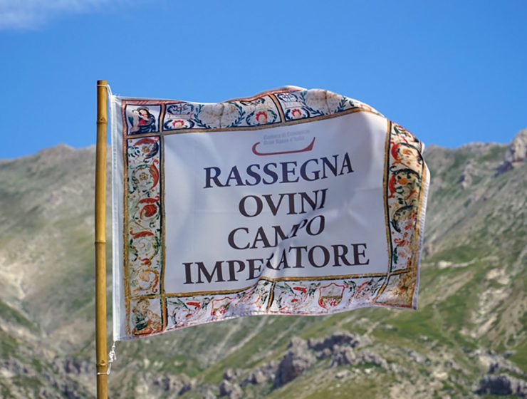 La storica Rassegna ovini