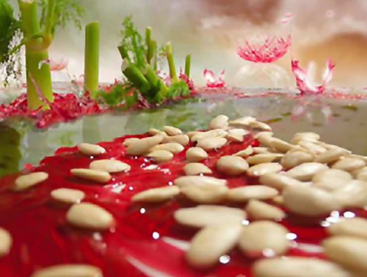 Conferenza Internazionale La Ragion Gastronomica