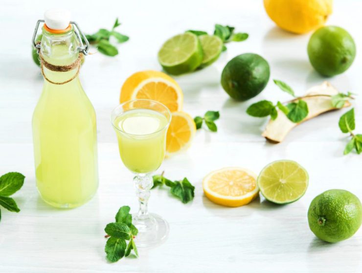 Gli Agrumi Piante del genere Citrus
