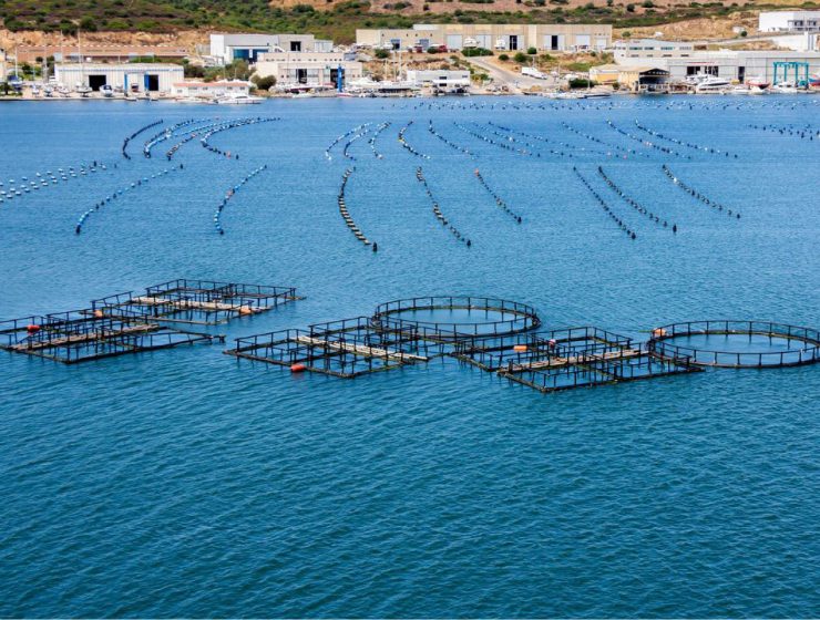 La Molluschicoltura in Abruzzo