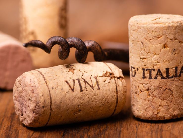 Il Vino in Italia