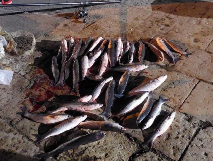 Bracconaggio ittico Fiume Pescara