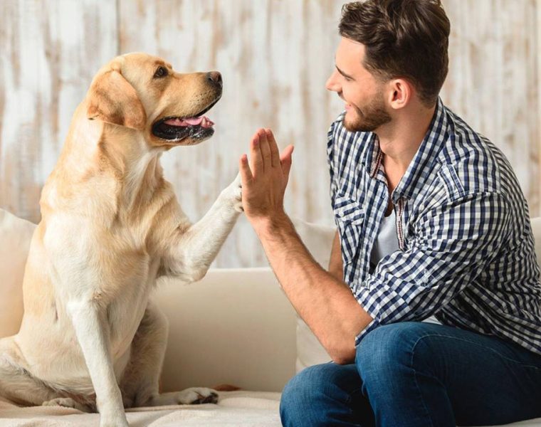 Cani all'Interno di un Condominio