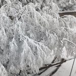 Una Nevicata Precoce e Diffusa