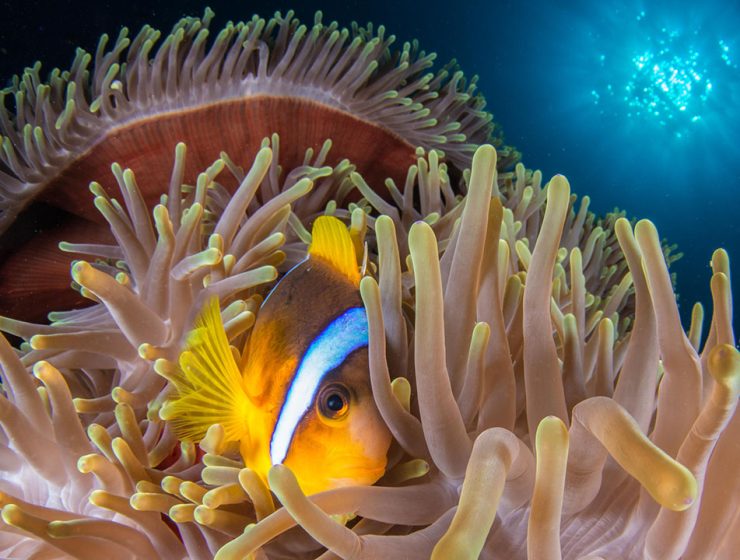 Il Concorso Fotografico MyShot