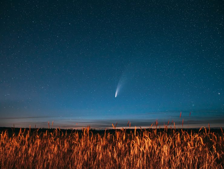 Cometa Atlas C/2024 G3