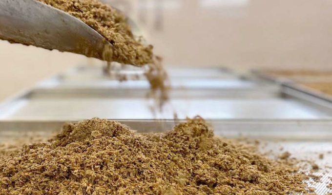 Scarti Birra: Sostenibilità e Innovazione