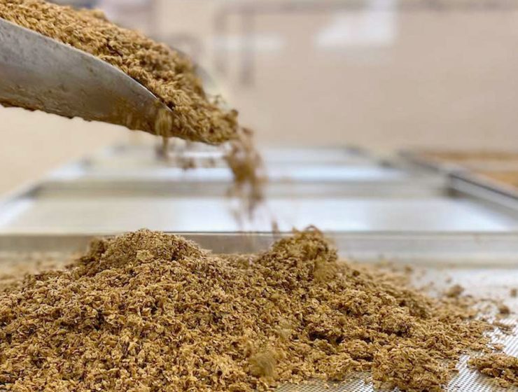 Scarti Birra: Sostenibilità e Innovazione