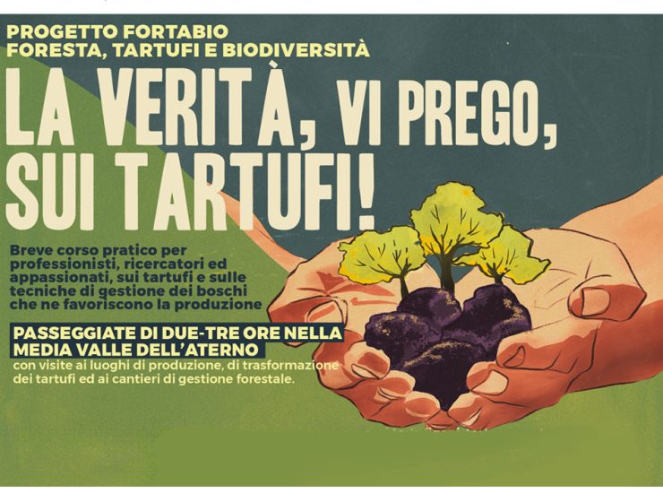 La Verità sui Tartufi