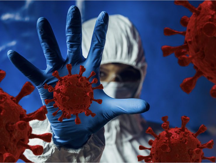 Origine Coronavirus cinque anni dopo
