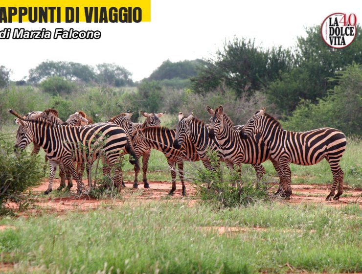 Kenya: Il Mio Viaggio