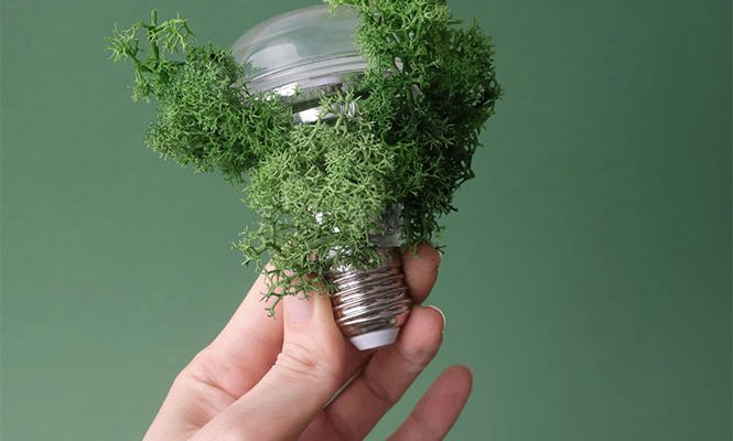 Risparmio Energetico e Sostenibilità