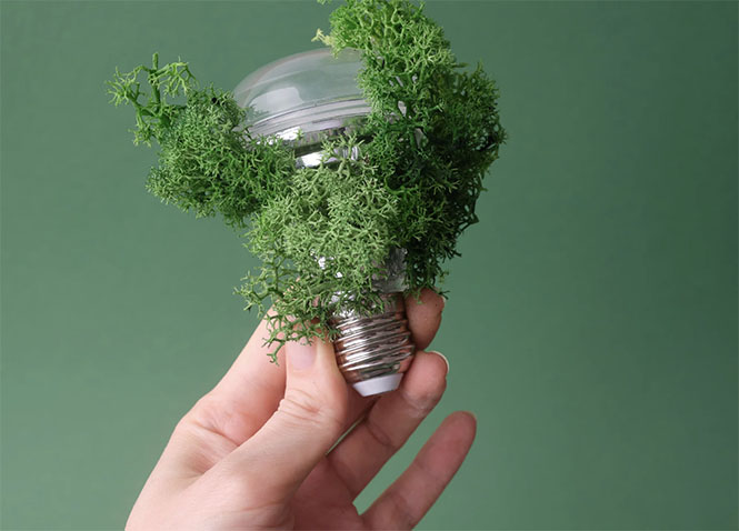 Risparmio Energetico e Sostenibilità