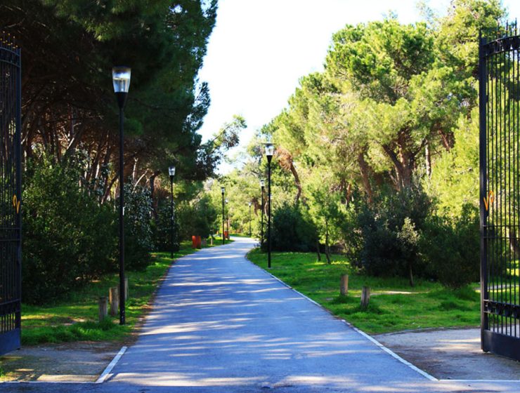Pescara e Associazione Plastic Free