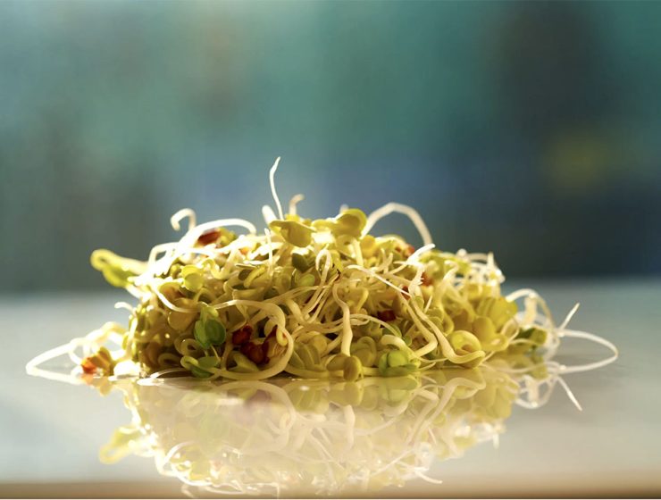 Germogli di soia in cucina