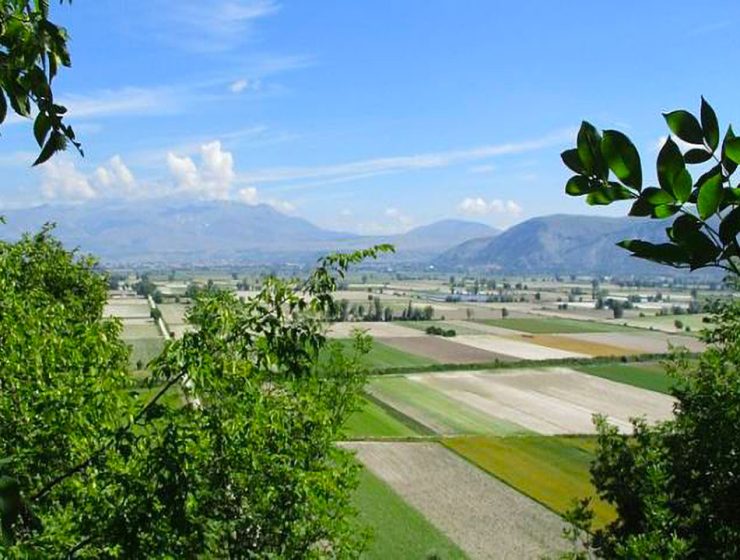 Cementificazione Energetica delle Terre Agricole