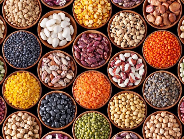 Proteine alternative: +960% di brevetti