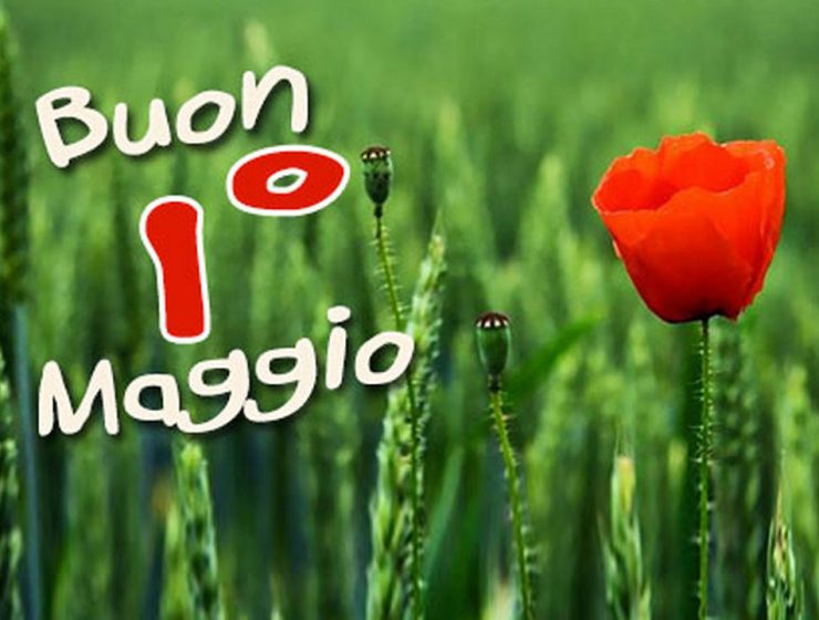Il lavoro è il fondamento della dignità umana