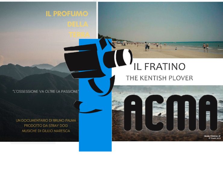 Per gli Amanti del Cinema la Rassegna