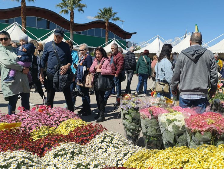 47esima edizione della Mostra del Fiore