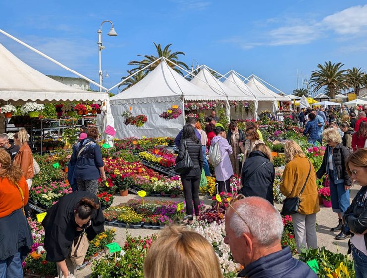 La 47ª edizione di Fiore Florviva