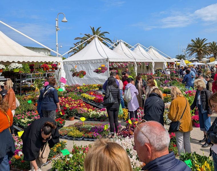 La 47ª edizione di Fiore Florviva