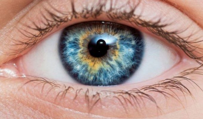 Un Colore Nuovo Denominato Olo
