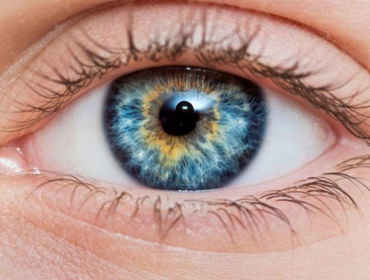 Un Colore Nuovo Denominato Olo