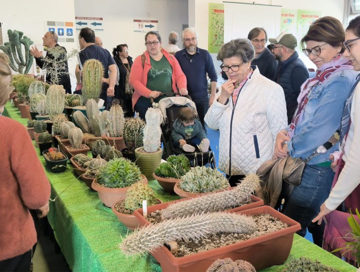 Bonsai protagonisti a Florviva