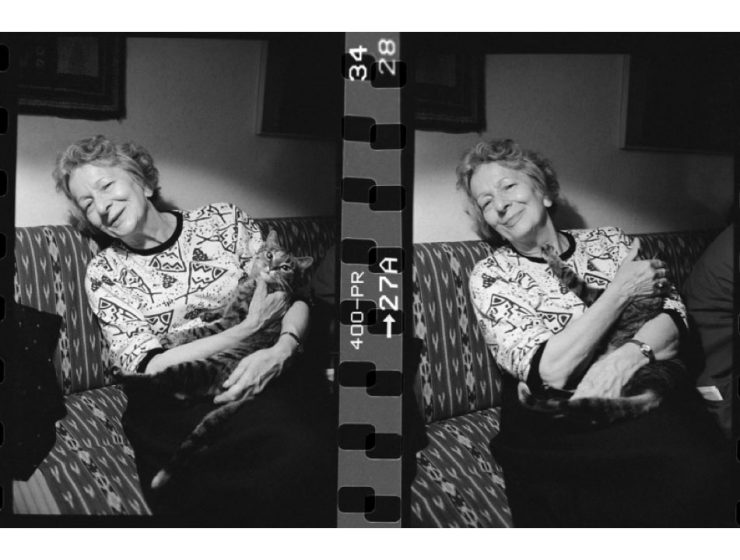 Scrittura di Wisława Szymborska