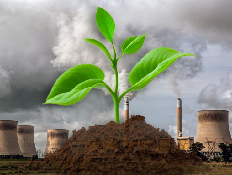 Il Progetto VESUNA