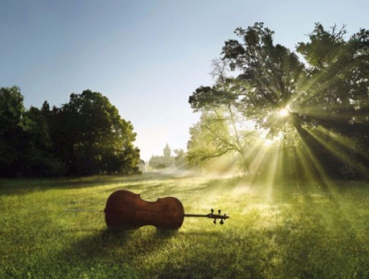 Dandelion Concerti Sostenibili