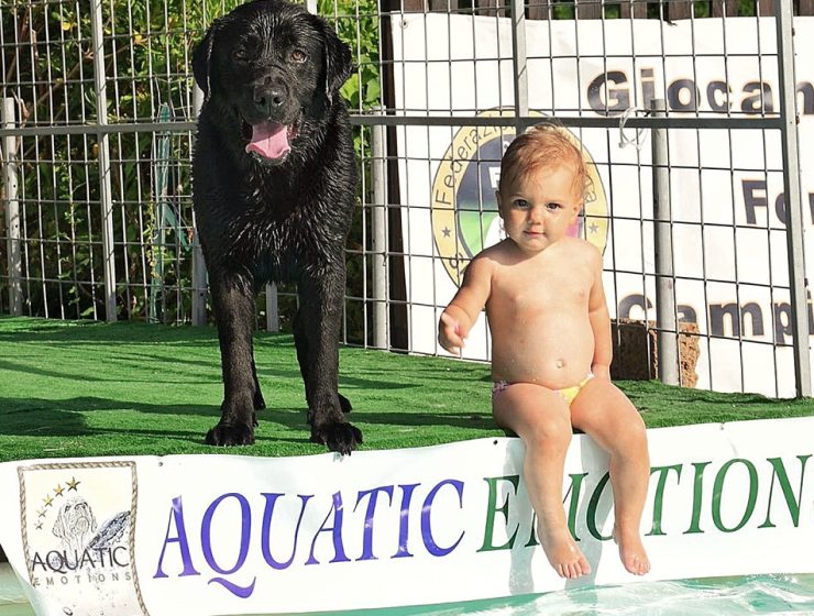 Il Centro Acquatic Emotion