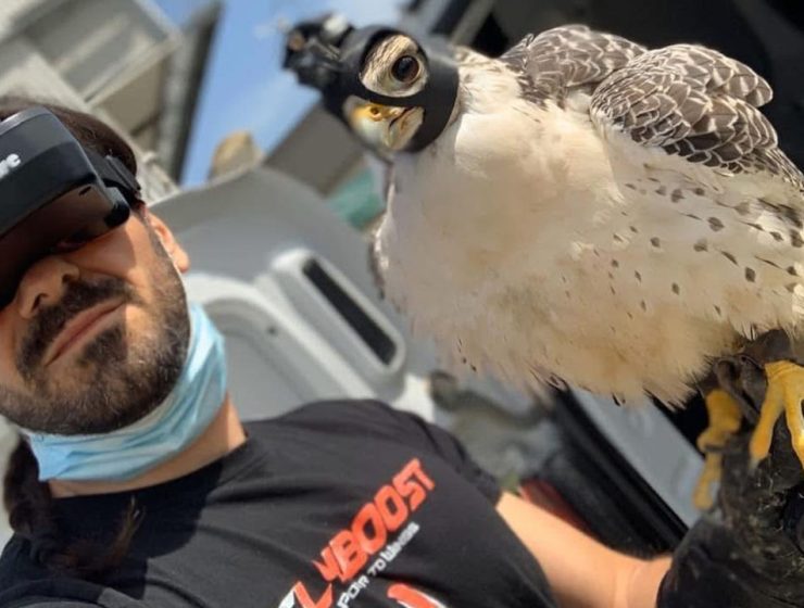 Bird Control