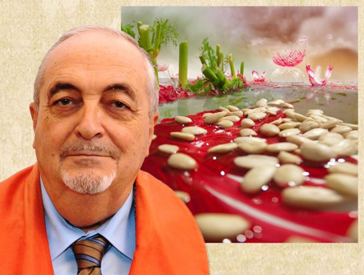 La Ragion Gastronomica