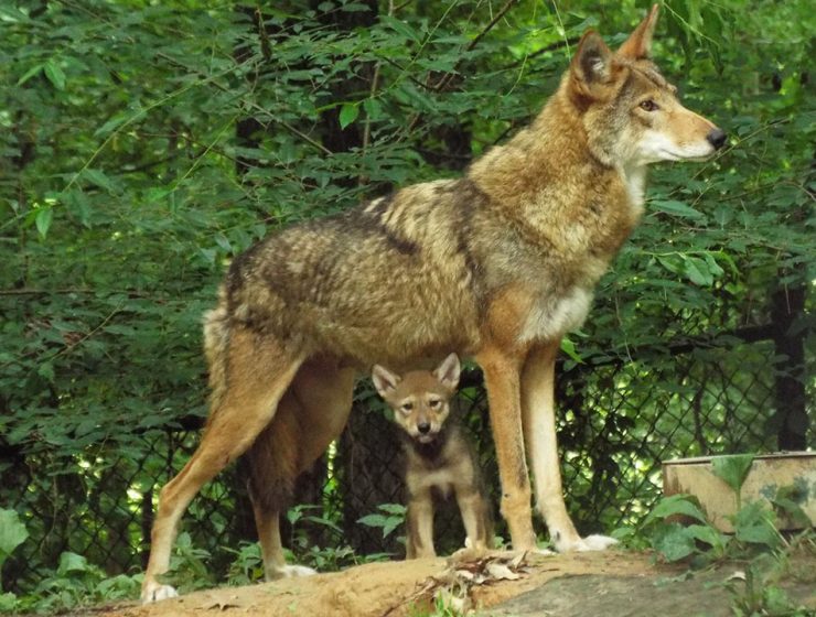 Il Parco Nazionale e i fotografi
