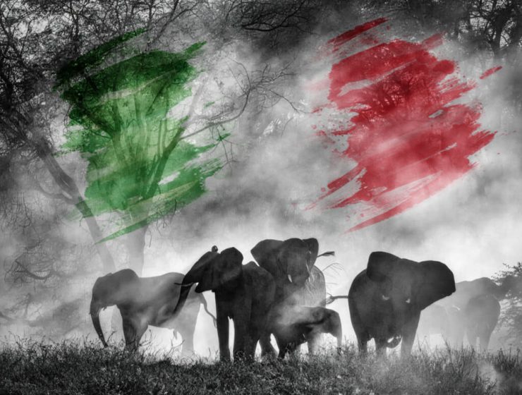 Illusione Italia